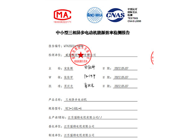 YE3能效检测报告