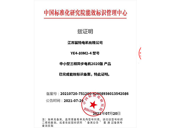 YE4二级能效证书